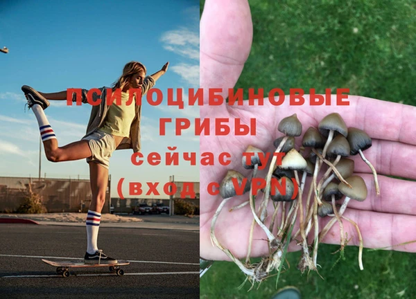 jwh Верхний Тагил