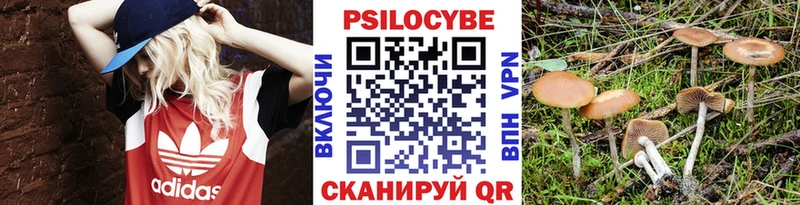 Псилоцибиновые грибы мухоморы  Вологда 